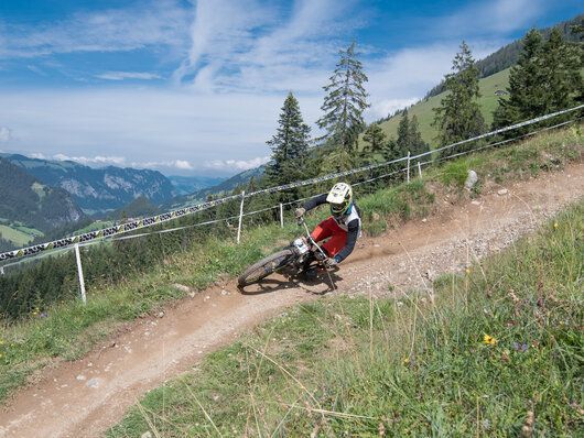 Eine Person fährt mit einem Mountainbike einen Feldweg entlang.