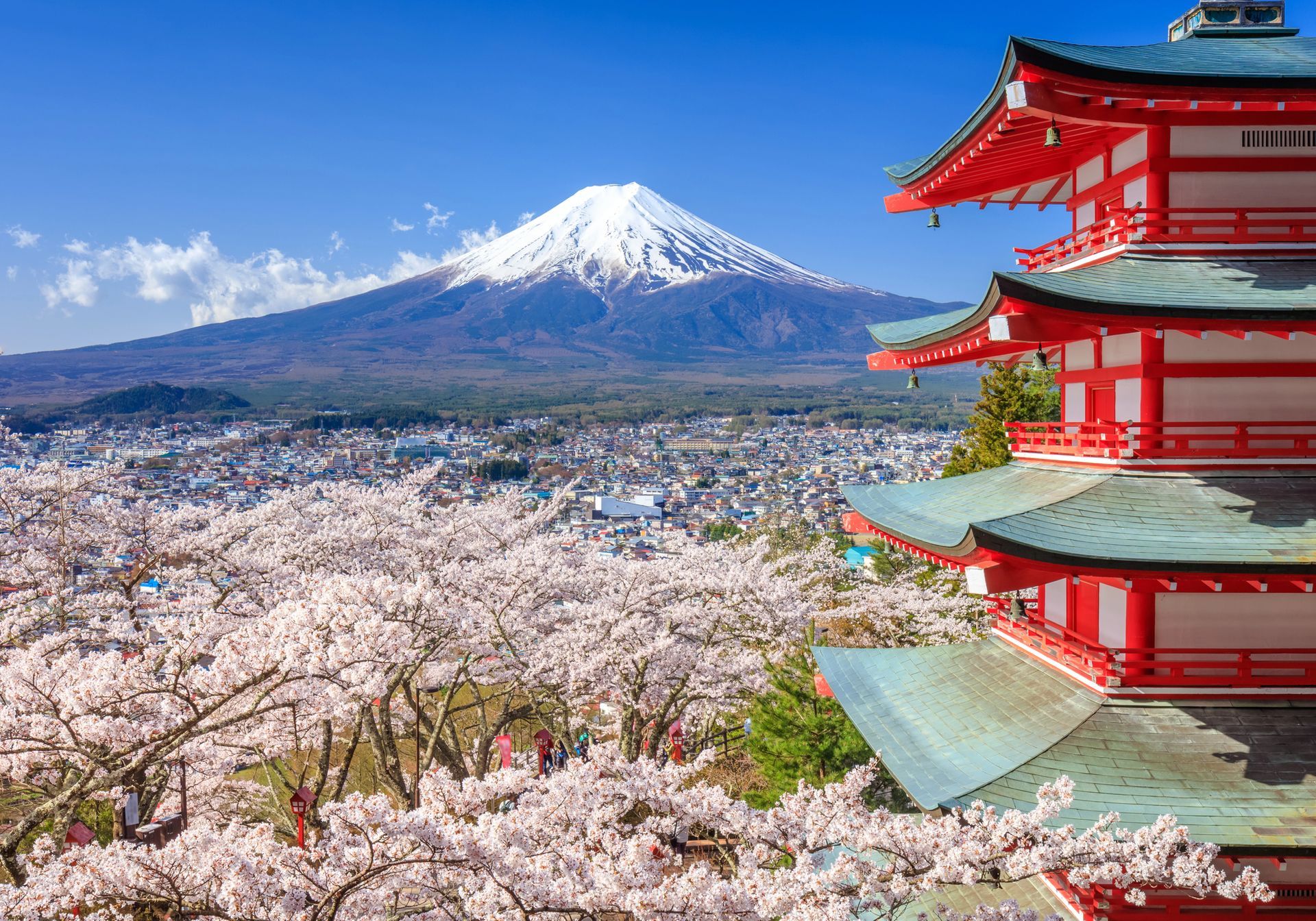 El monte Fuji cubierto de nieve y los cerezos en flor enmarcan la pagoda roja en Japón, bajo un cielo azul.