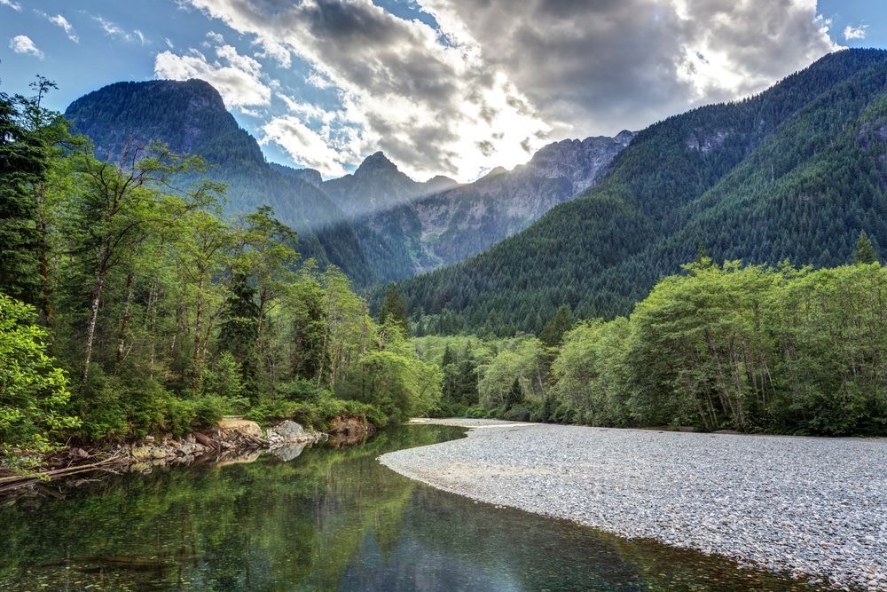 Black Owned Businesses & Black Entrepreneurs in Langley BC