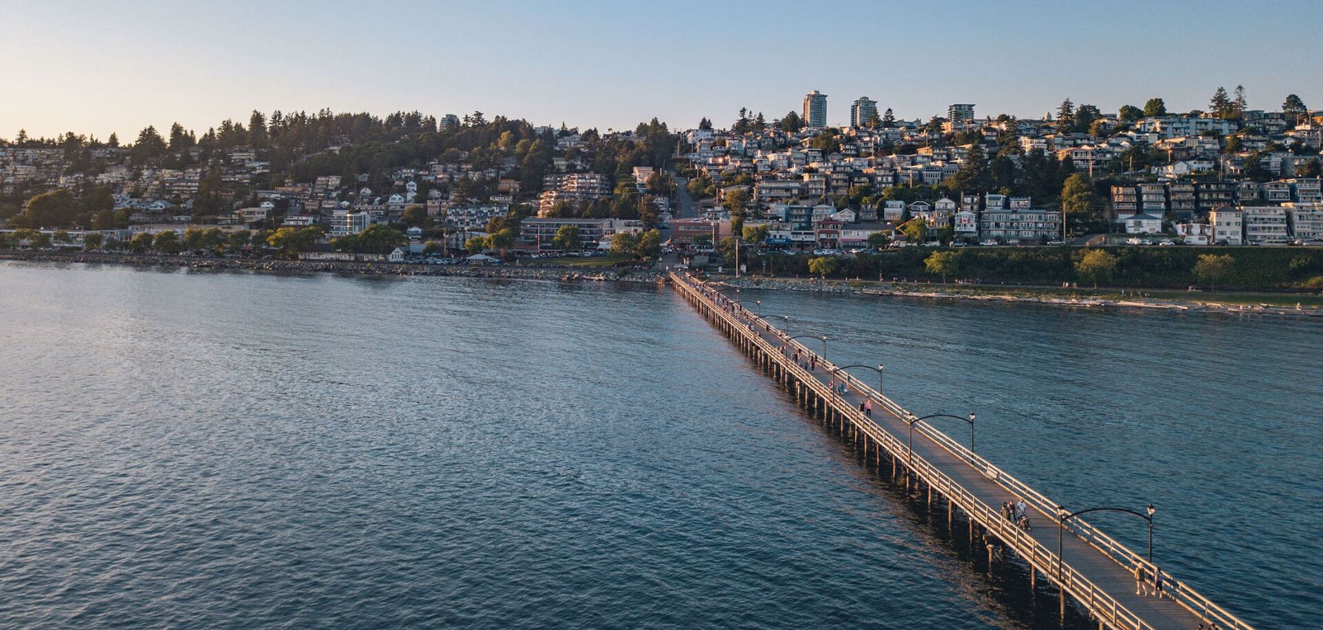 Black Owned Businesses & Black Entrepreneurs in White Rock BC