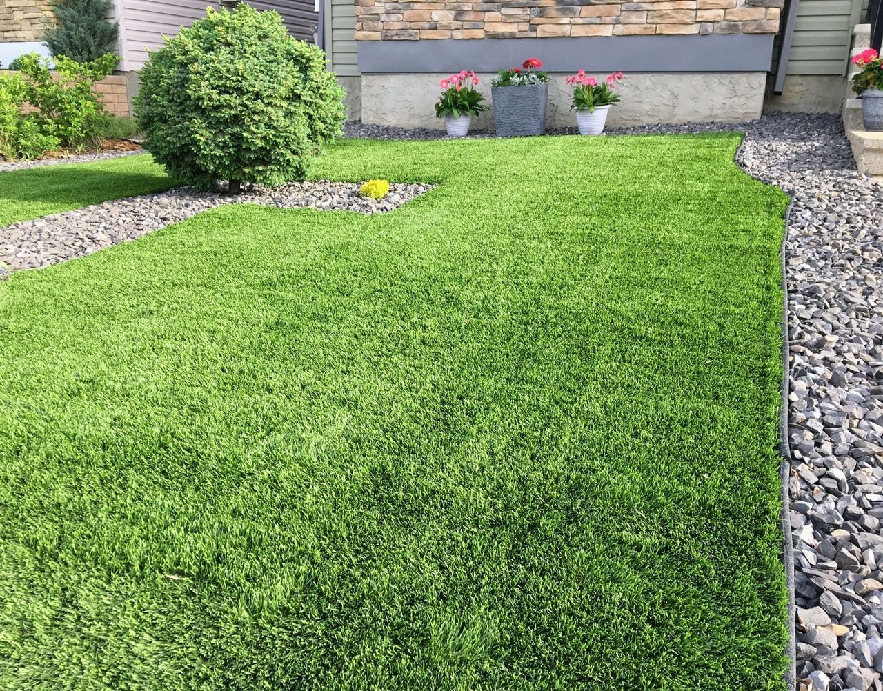 A lush green lawn with rocks and flowers in front of a house.