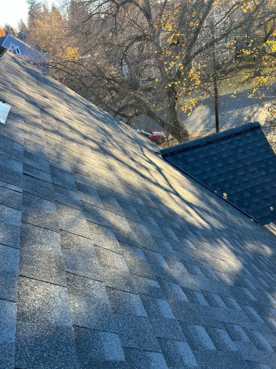 Asphalt shingle roof with shadows, part of a house, autumn trees in the background.