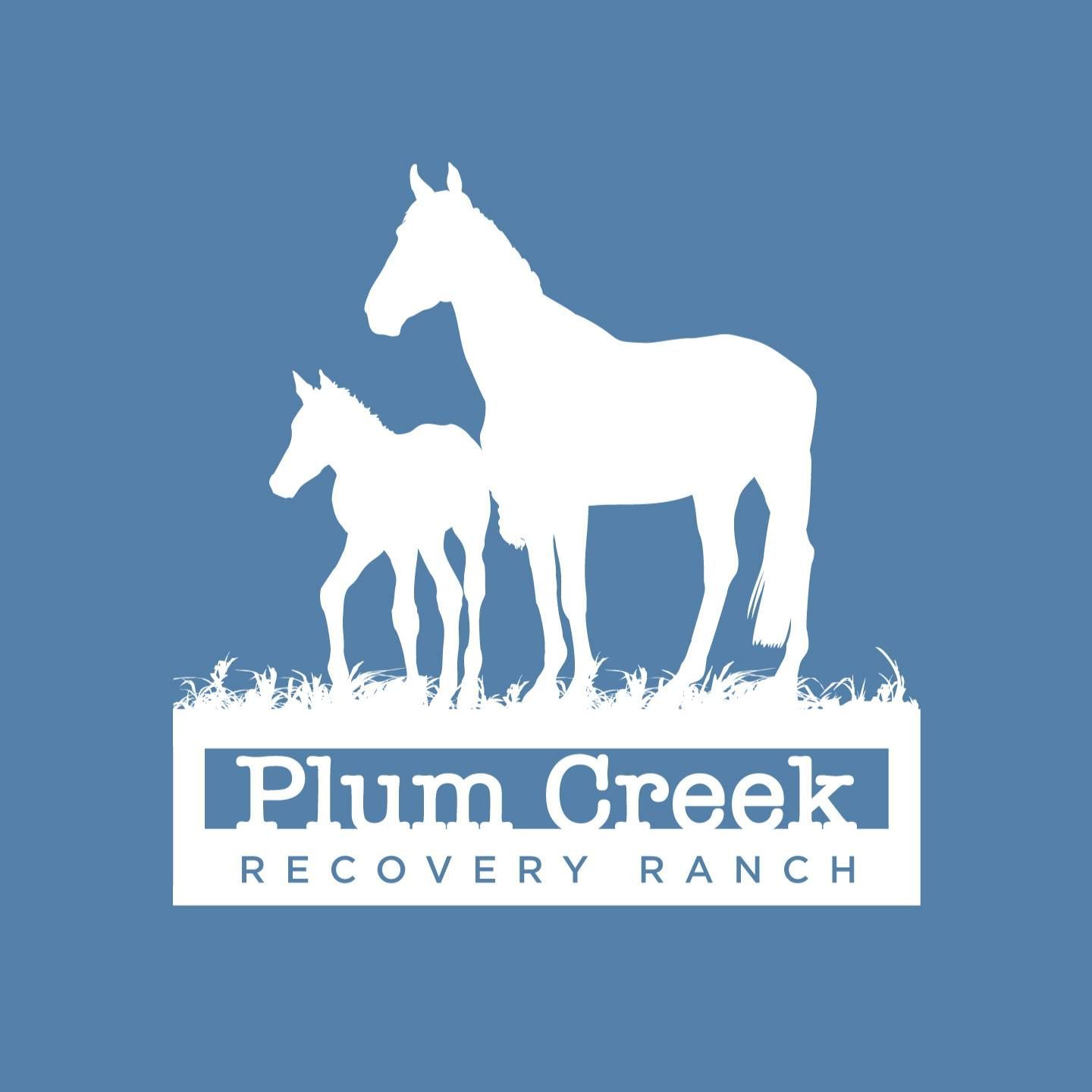 Plum creek recovery ranch logo with two horses in the grass