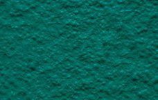 Medium Green Palette