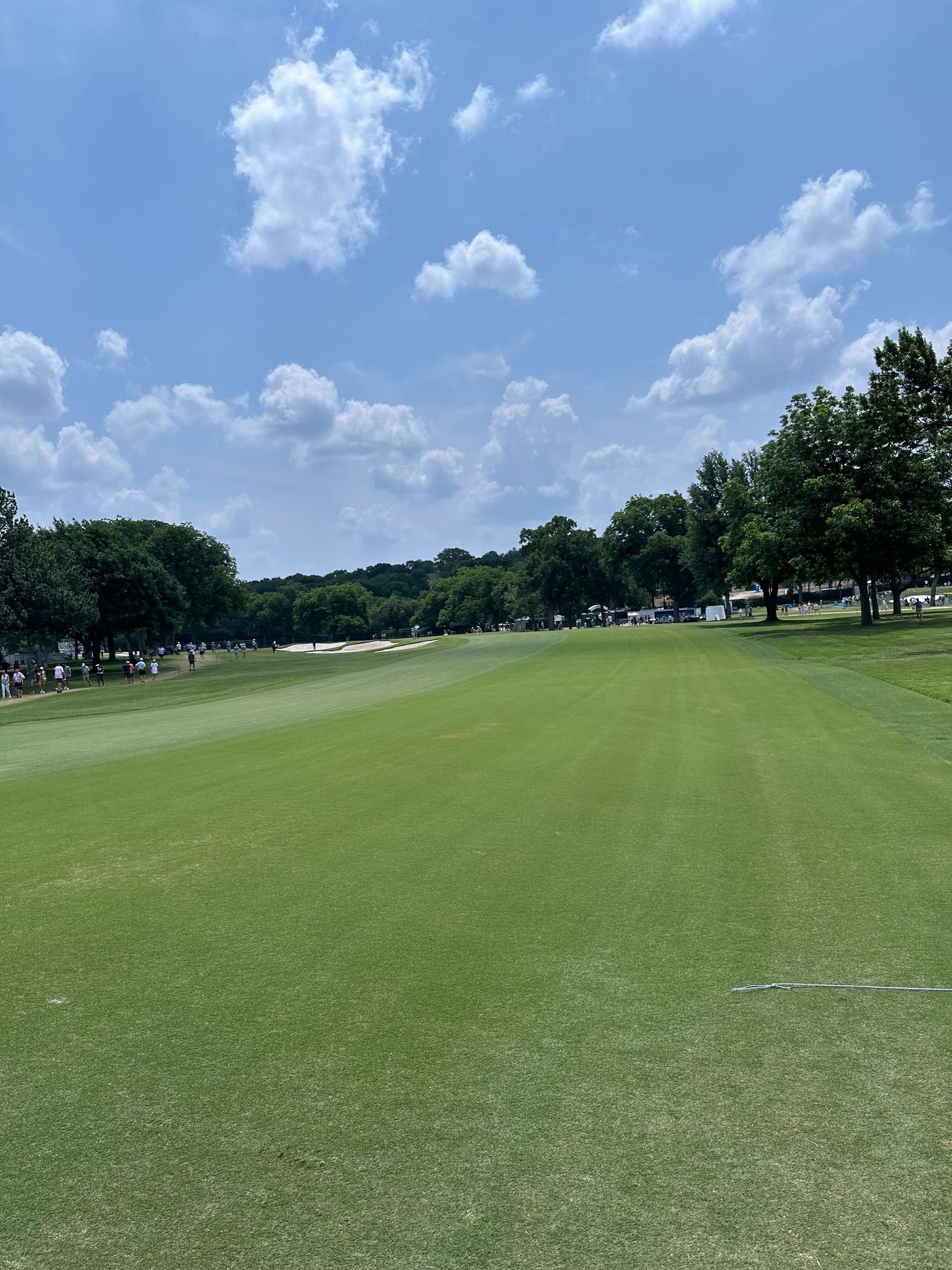 A large grassy field with trees in the background on a sunny day
