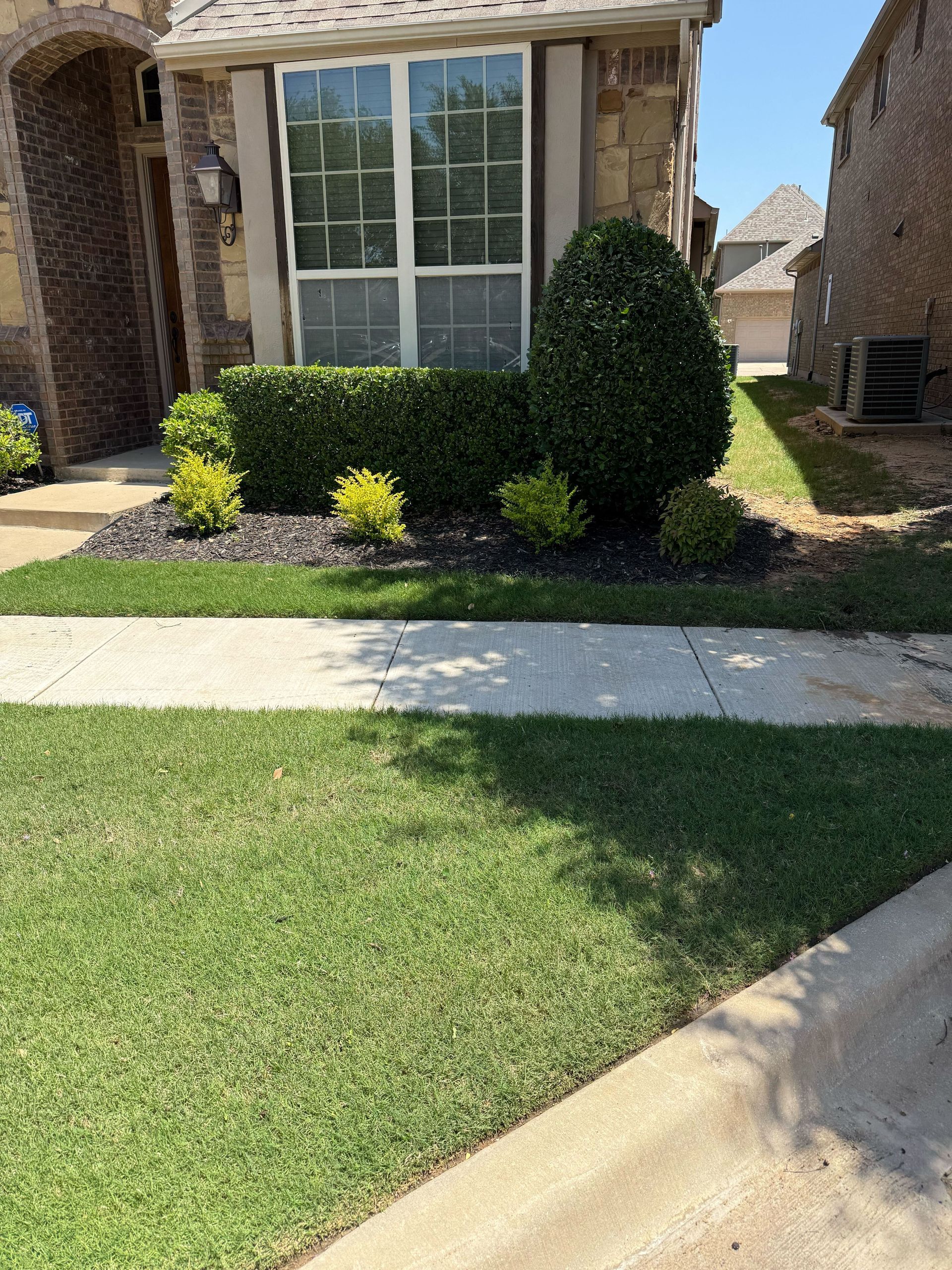 A house with a lush green lawn and a sidewalk in front of it.