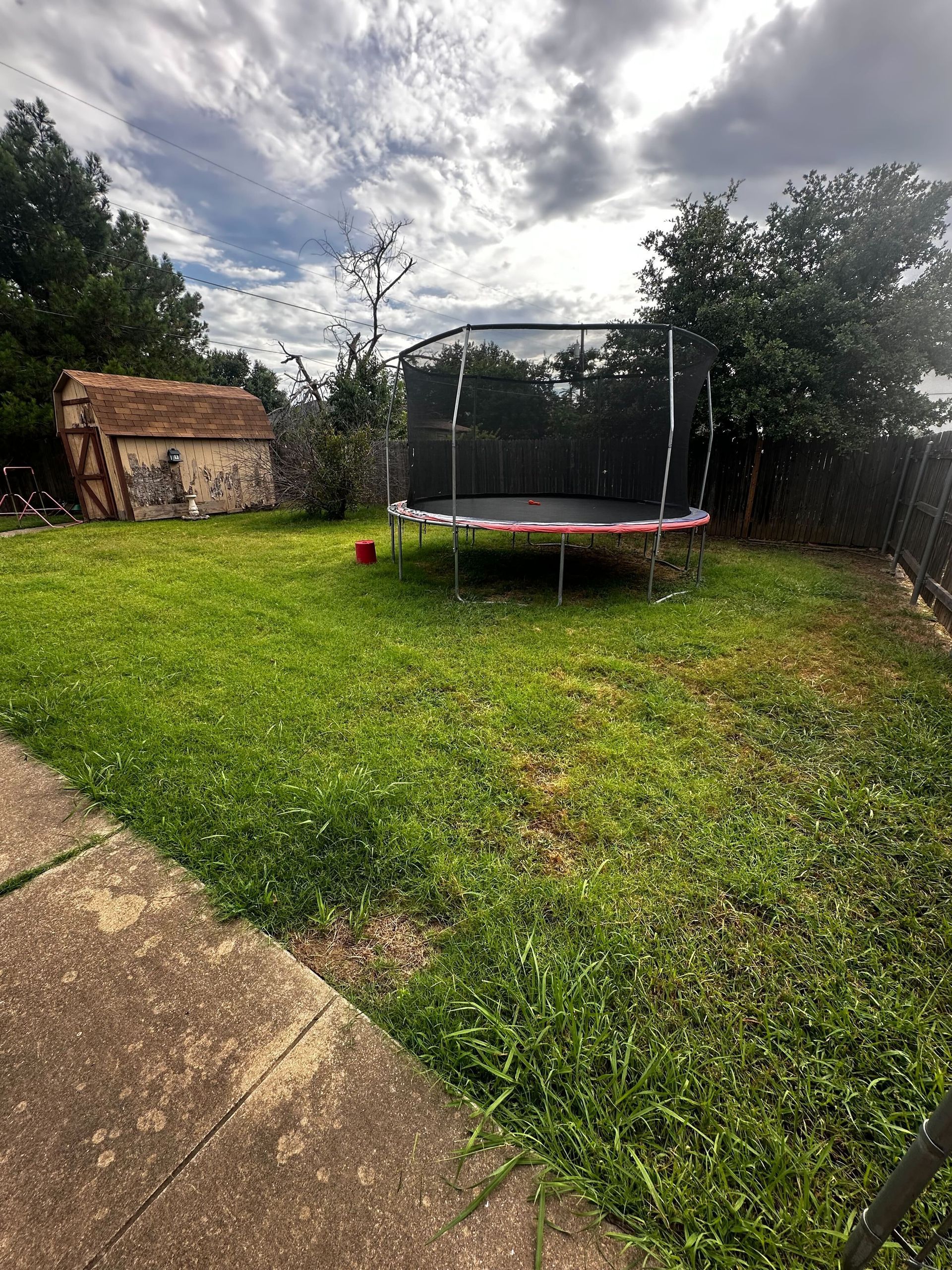 A trampoline is sitting in the middle of a lush green yard.