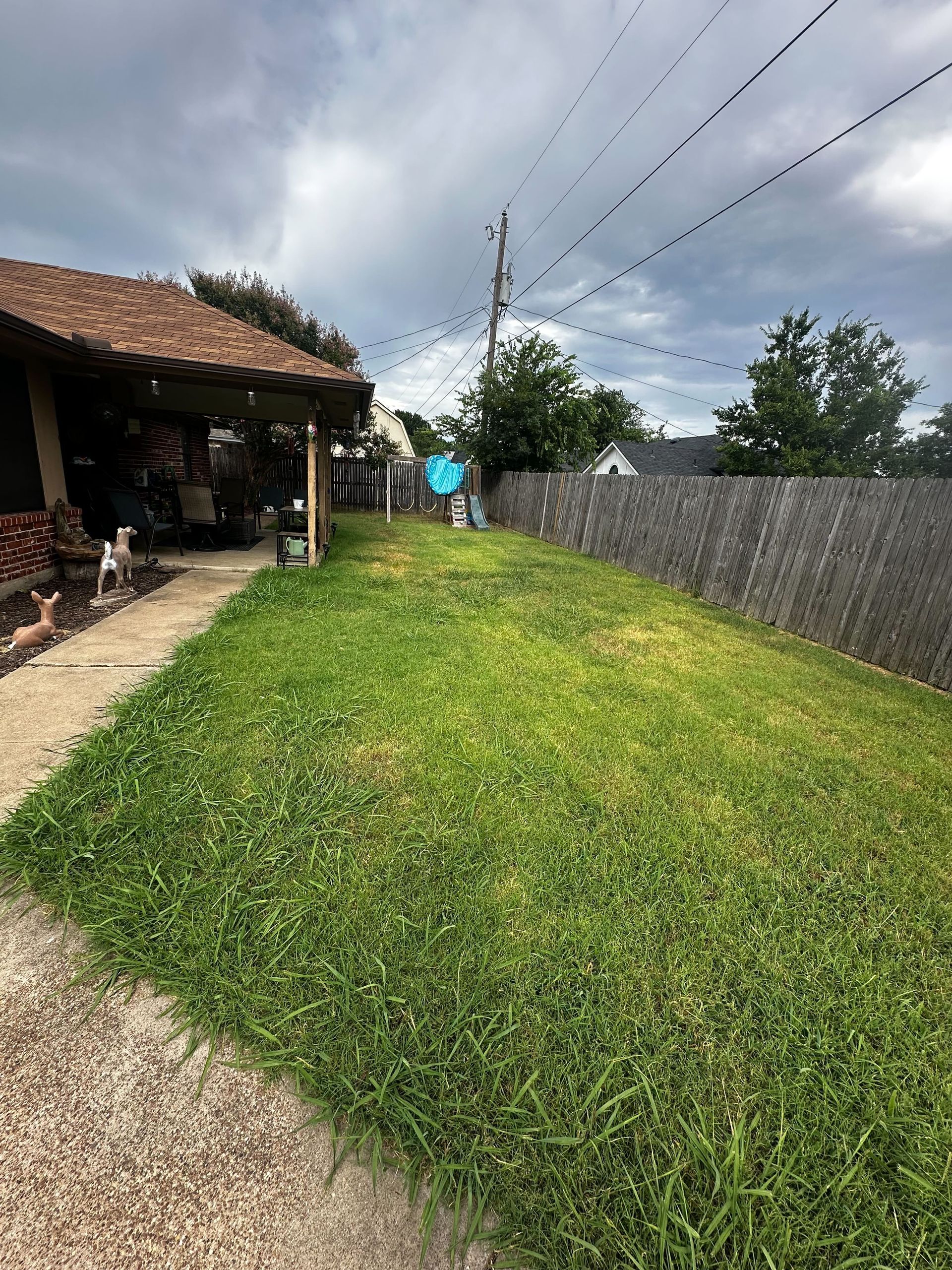 A lush green yard with a fence and a house in the background.