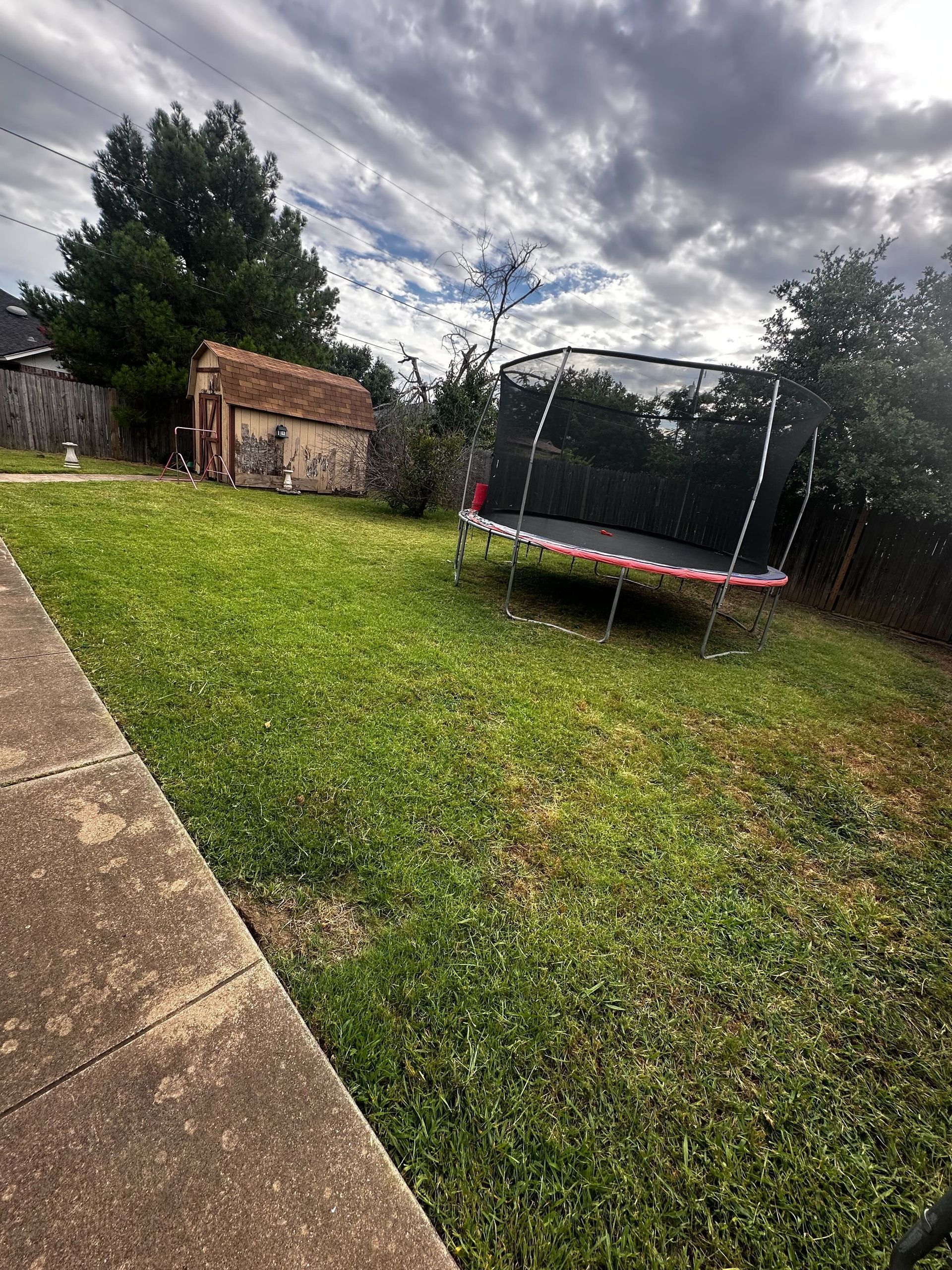 A trampoline is sitting in the middle of a lush green yard.