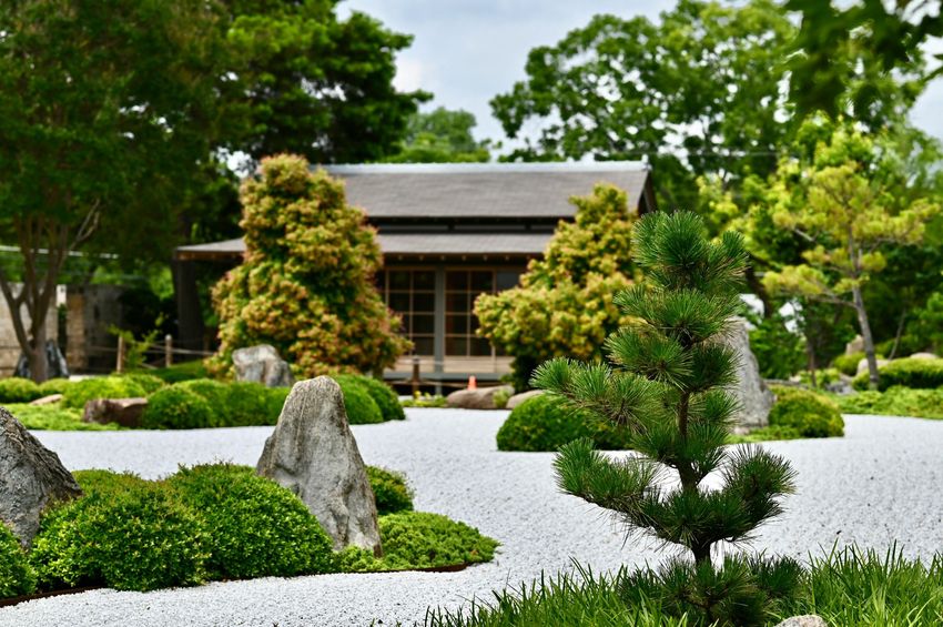 There is a house in the background of a garden with rocks and trees.