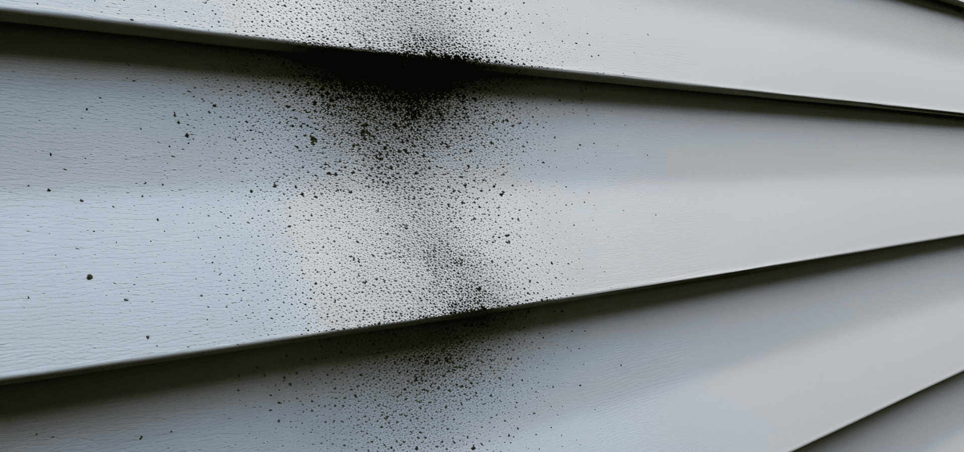 Black dirt stains on vinyl siding