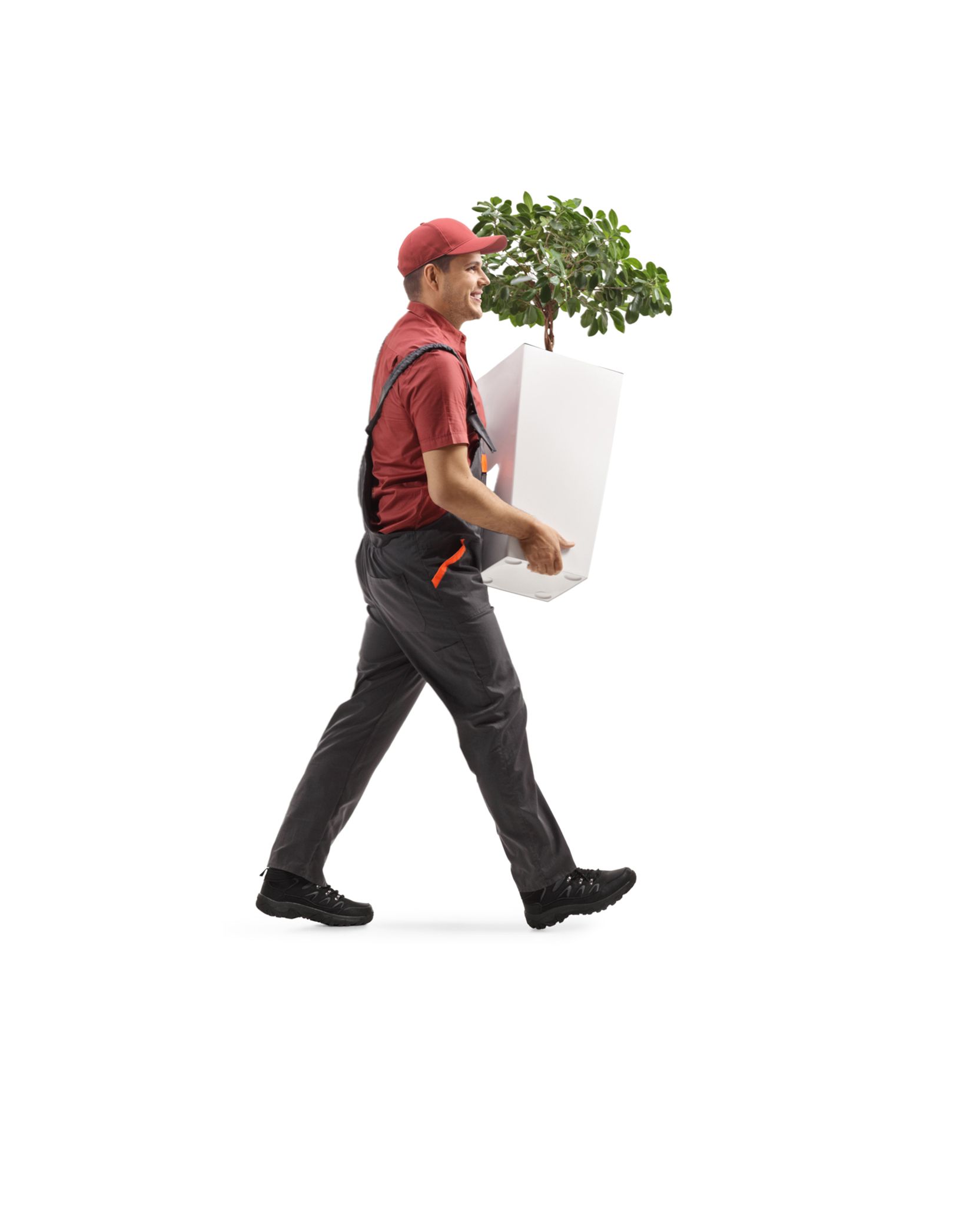 A delivery man is carrying a potted plant and a box.
