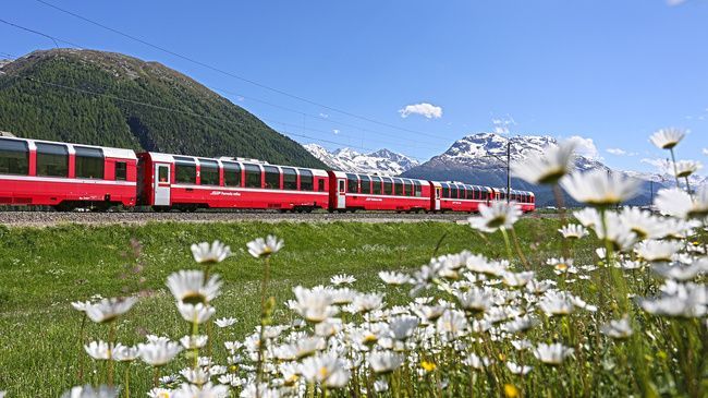 Red train travels along tracks in a green field with wildflowers, mountains in the background, under a blue sky.