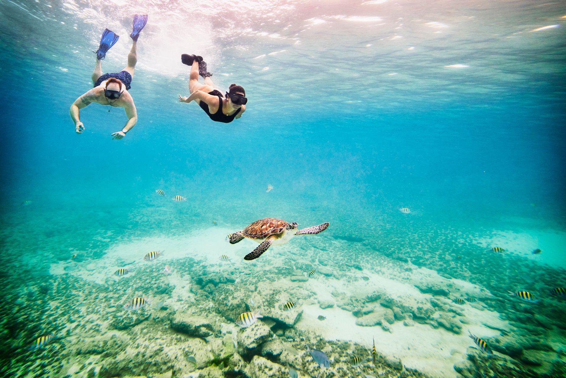 Overwater bungalows in turquoise water with mountains in the background.