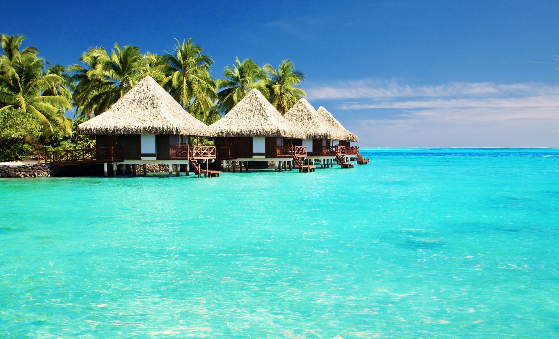 Overwater bungalows on turquoise water with palm trees, in a tropical paradise.