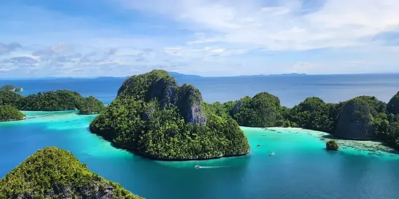 A circular lounge with sea views, featuring curved seating, a bar, and a Christmas tree.