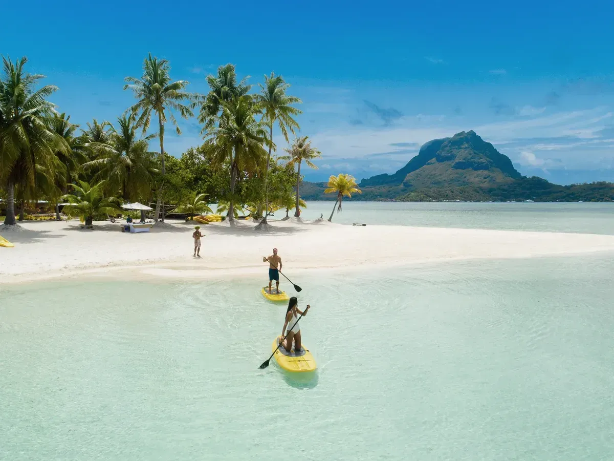 People paddleboarding in clear turquoise water near a white sandy beach with palm trees and a mountain.