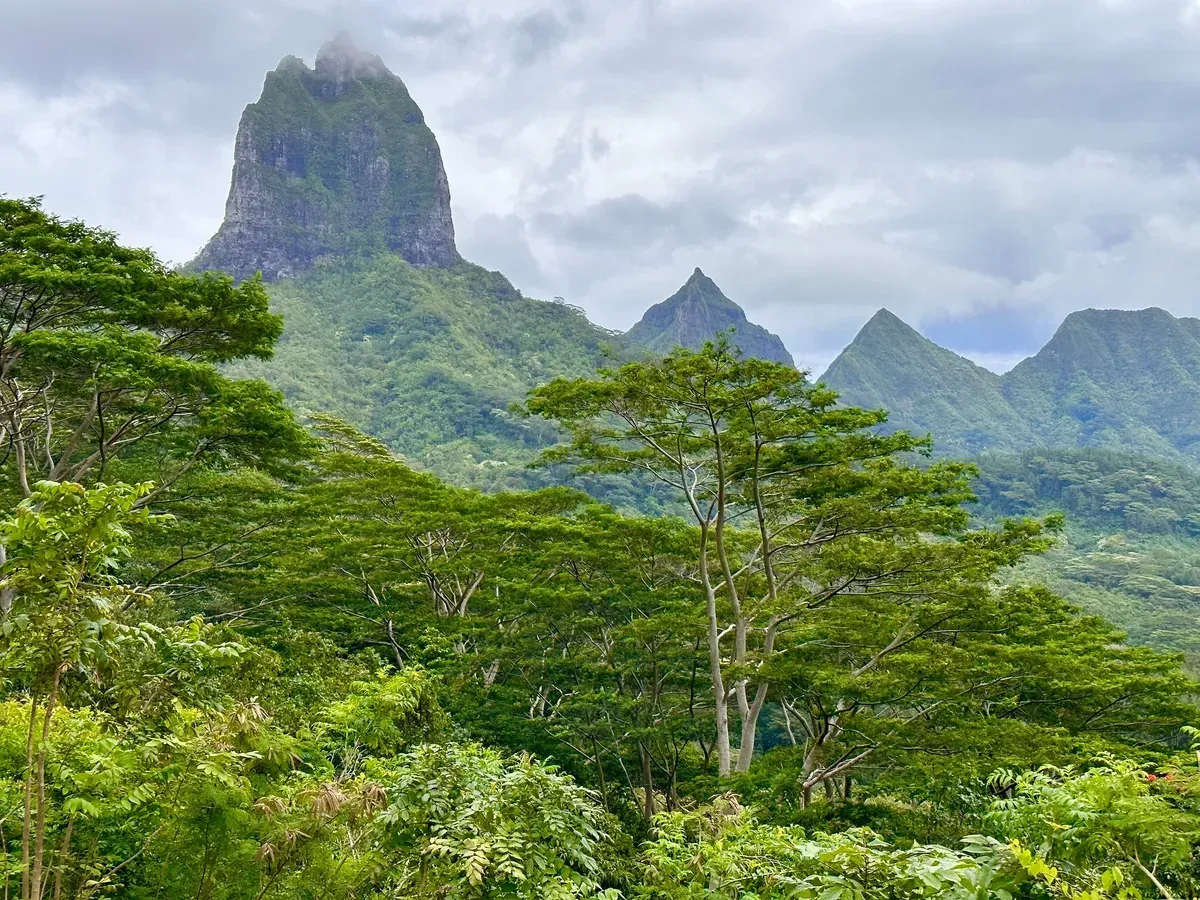 Lush green trees in the foreground with dramatic, jagged mountains in the background, under a cloudy sky.