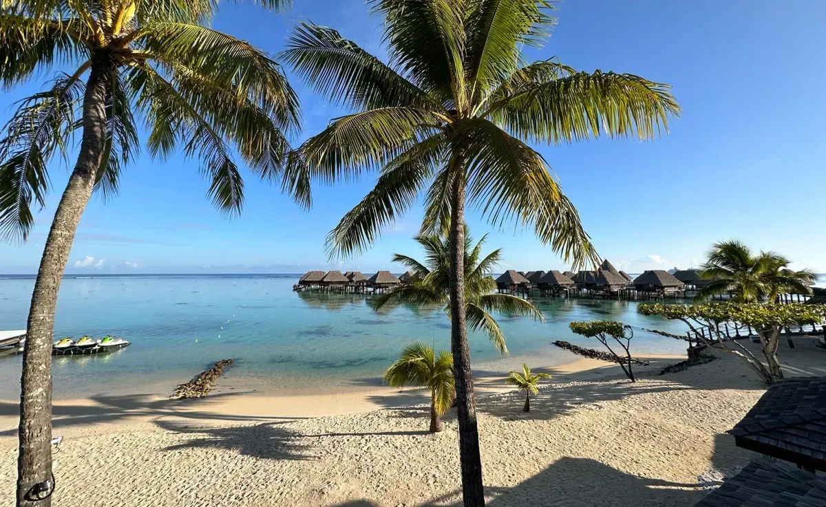 Beach with palm trees, clear water, overwater bungalows, and blue sky.