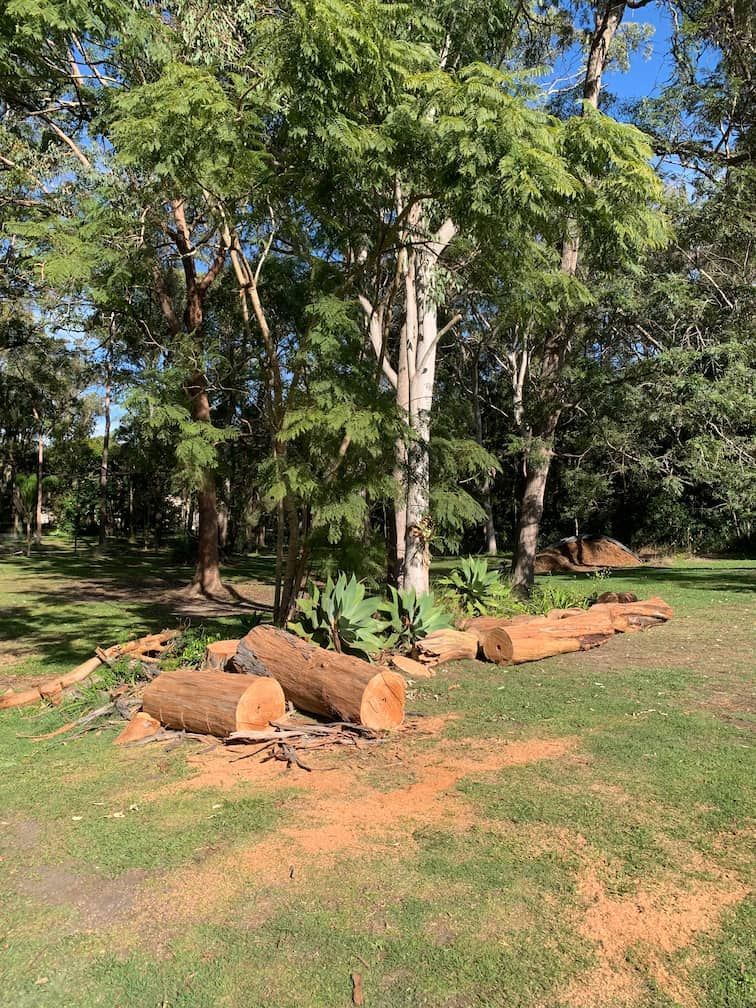 A bunch of logs are laying on the grass in a park.
