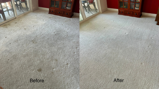 Carpet cleaning comparison: “Before” and “After” views of a lighter, cleaner carpet.