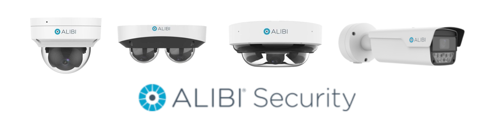 Alibi Security Products
