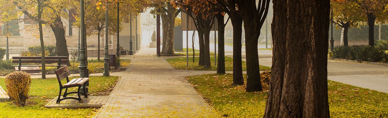 Scenic vista of a lake surrounded by autumn foliage and evergreen trees under a blue sky.