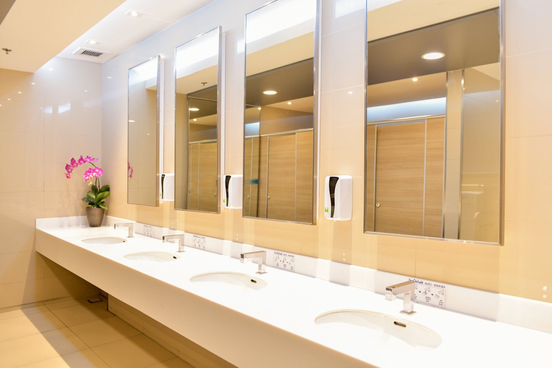 Bathroom Mirrors — South Melbourne, VIC — South Melbourne Glass