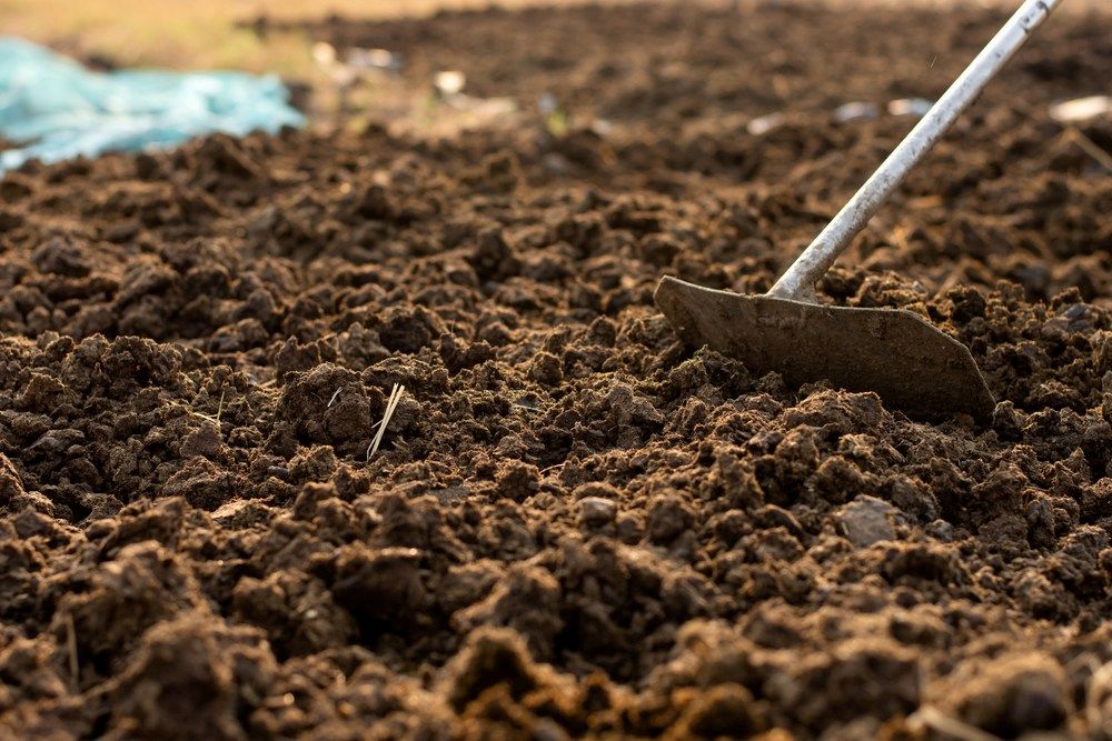 A Person is Digging in the Dirt With a Shovel — Frost 4 Sand In Woongarrah, NSW