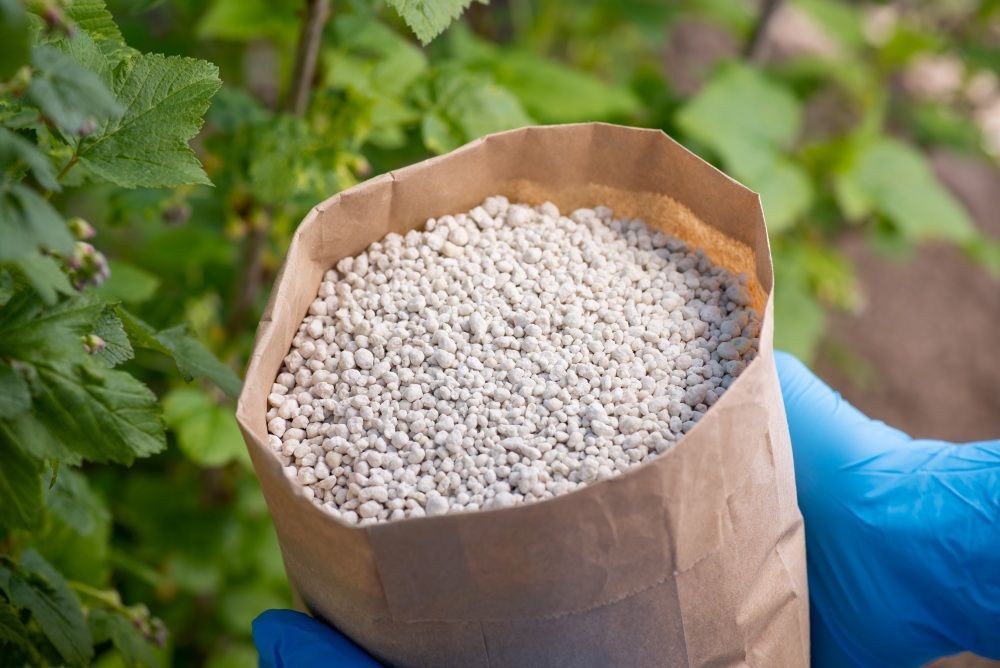 A Person is Holding a Bag of Fertilizer in Their Hand — Frost 4 Sand In Woy Woy, NSW
