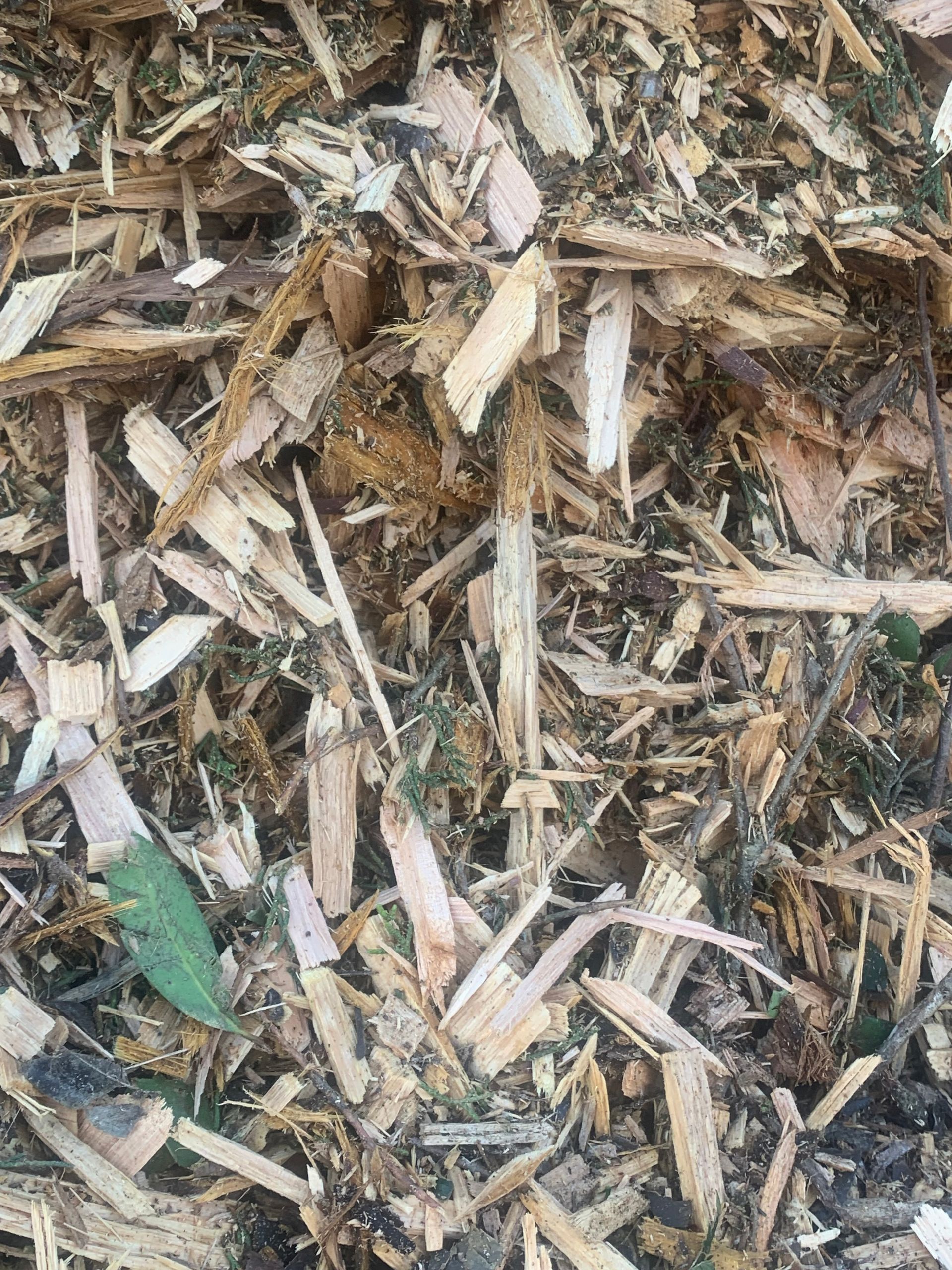 There Are Two Different Types of Mulch in This Pile — Frost 4 Sand In West Gosford, NSW