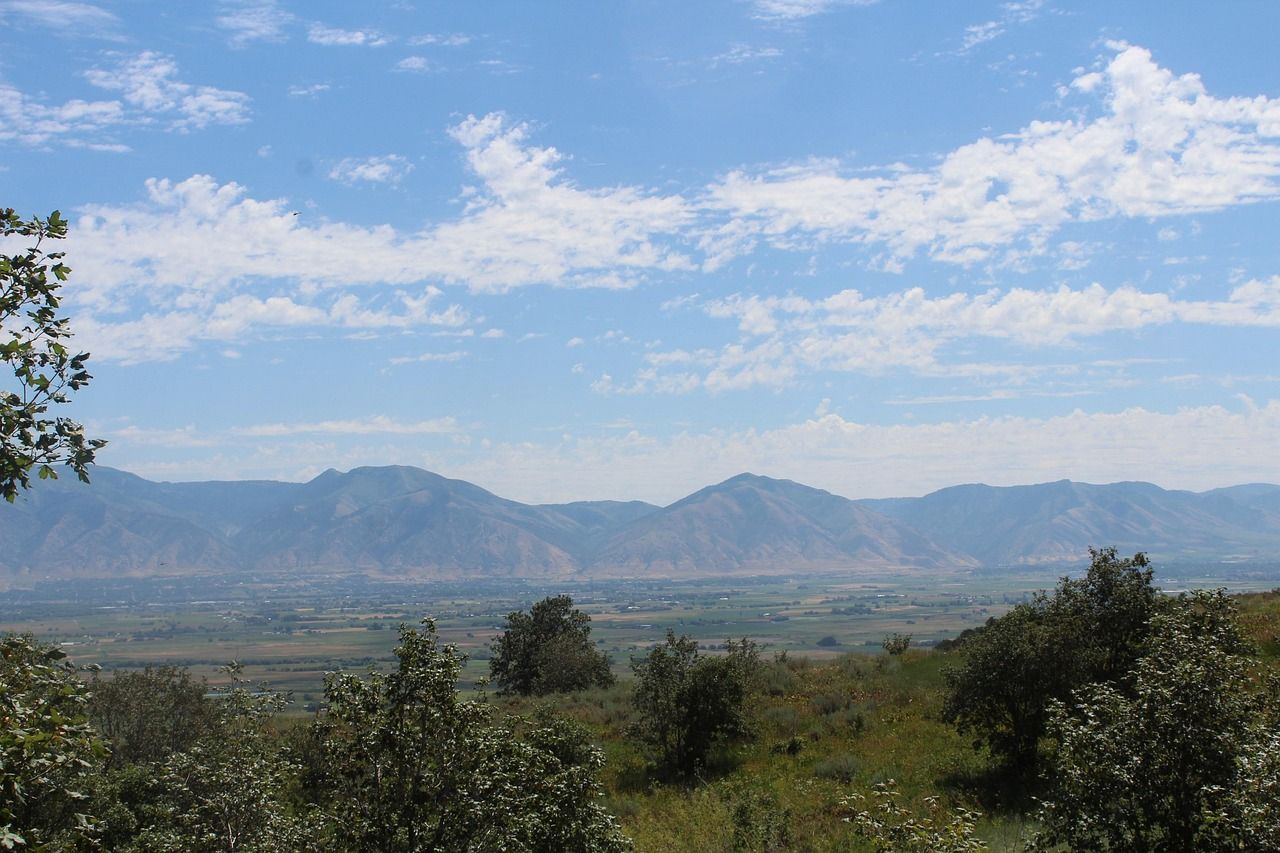 Cache National Forest