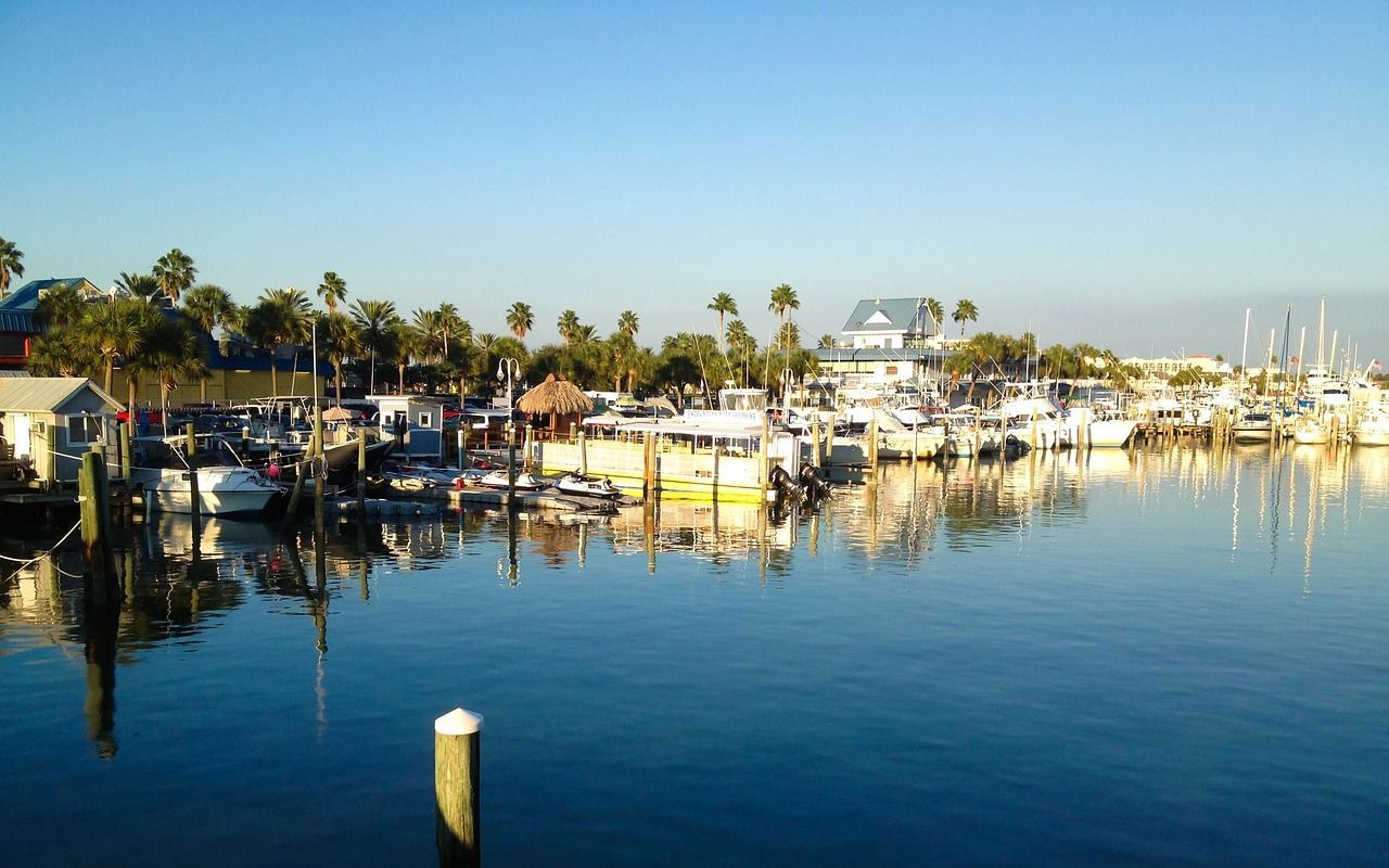 A marina in Sarasota, Florida