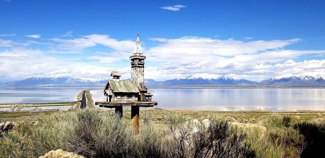 Great Salt Lake Birdhouse