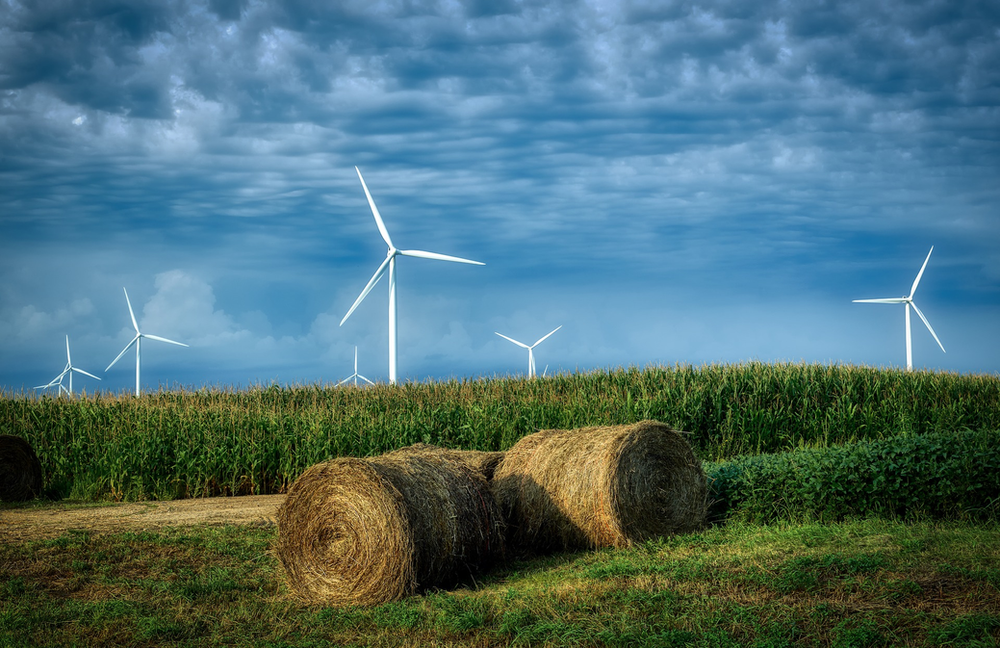 Hay bales are sitting in a corn field in Iowa with wind turbines in the background.
