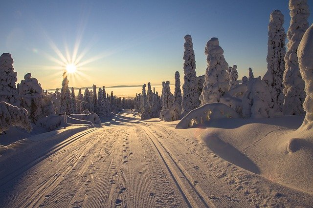 The sun is shining through the trees on a snowy road.