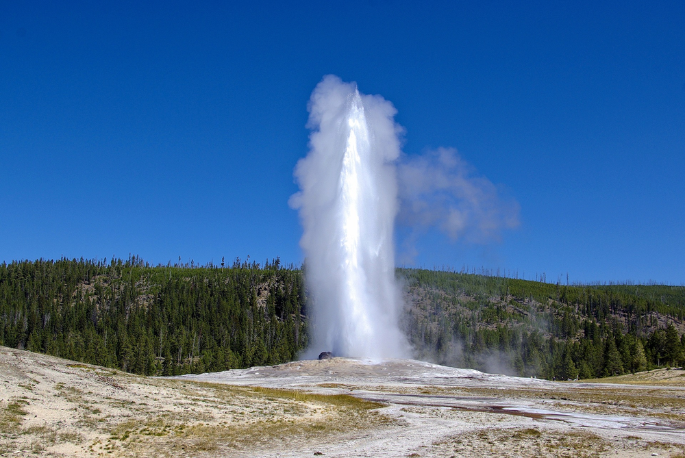 Old Faithful geyser erupting at Yellowstone National Park
