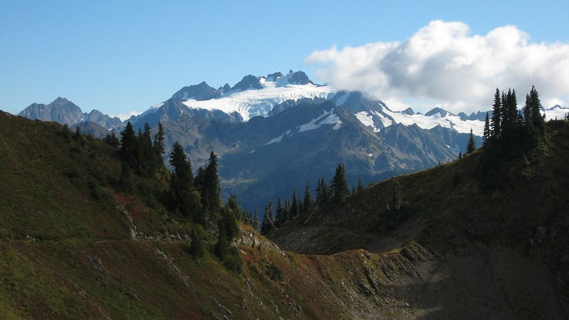 Olympic National Park and Forest