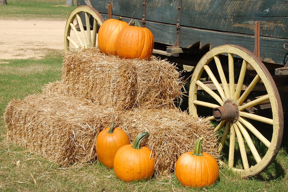 Pumpkins are sitting on bales of hay next to a wagon wheel