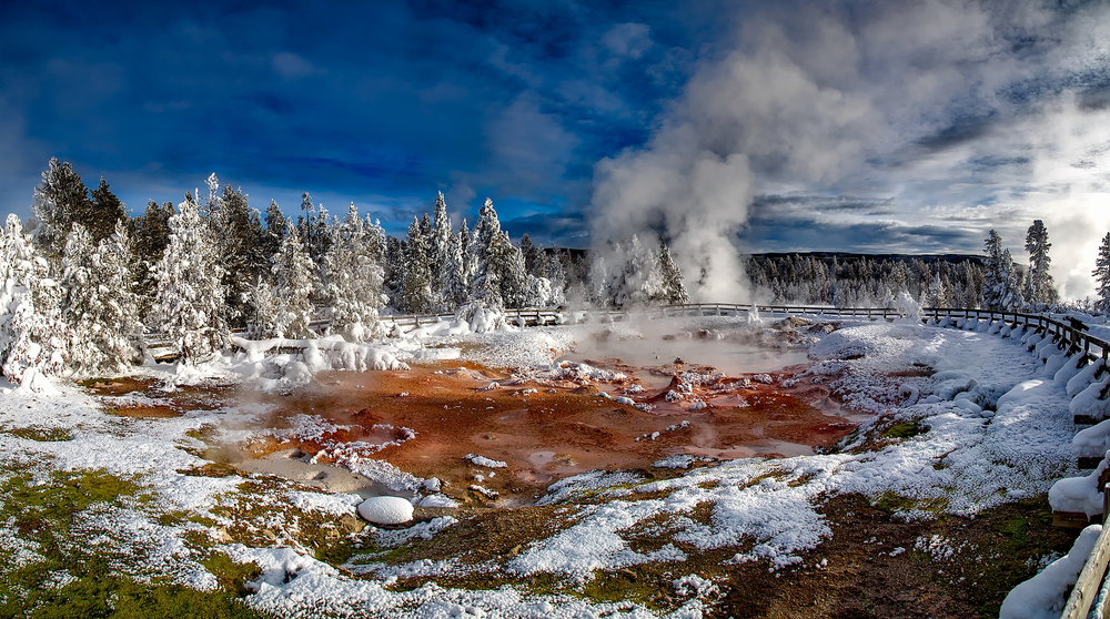 Mammoth hot spring in Yellowstone in the middle of a snowy forest.