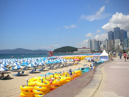 A beach in Busan with a lot of umbrellas and tubes on it