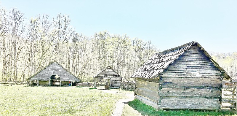 A drawing of two log cabins in a field in Great smoky mountains NP with trees in the background.