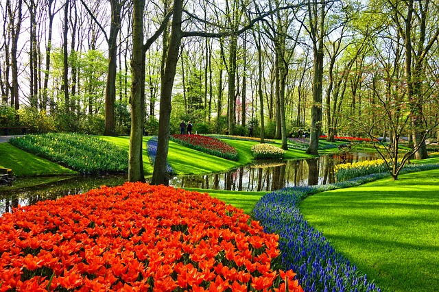 Keukenhof Gardens