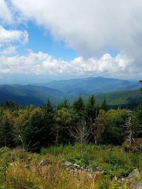 A view of a valley in great smoky mountains NP with mountains in the background and trees in the foreground.