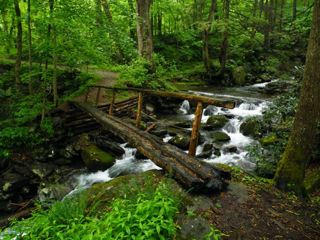 A wooden bridge over a river in the woods in Great Smoky Mountains NP