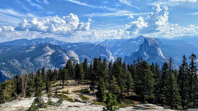 Trees and Mountains at Yosemite National Park