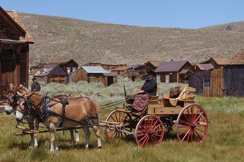 A man is riding a horse drawn carriage in a field in Bodie