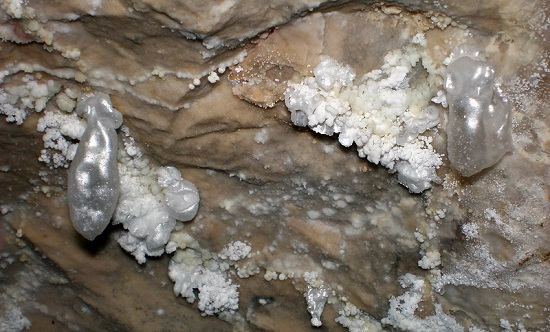 A close up of a rock with white crystals growing on it.