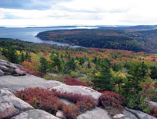 A view of a lake from the top of a mountain surrounded by trees and rocks in Acadia NP