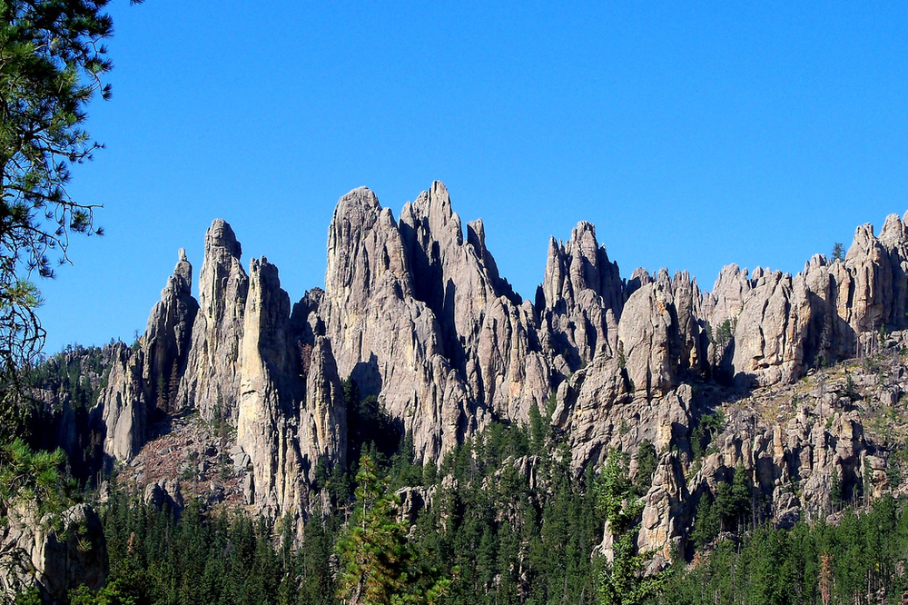 A mountain covered in trees and rocks with a blue sky in the background in the black hills